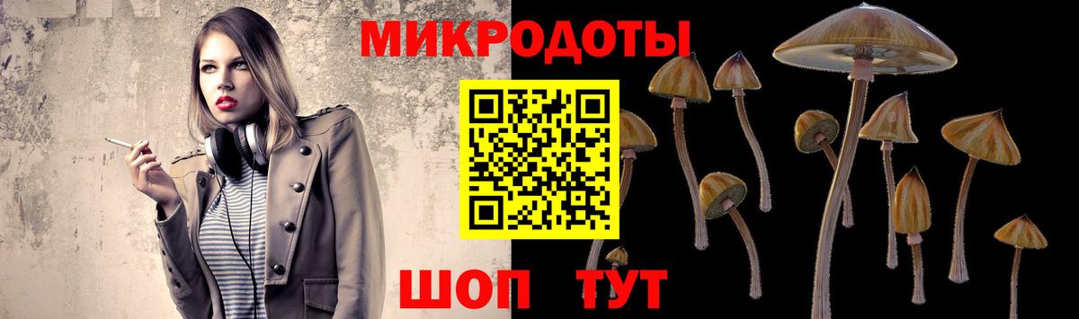 Галлюциногенные грибы Psilocybe  Псилоцибиновые грибы прущие грибы  Долгопрудный  Вход с VPN 